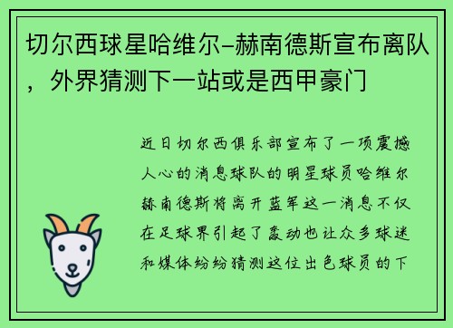 切尔西球星哈维尔-赫南德斯宣布离队，外界猜测下一站或是西甲豪门